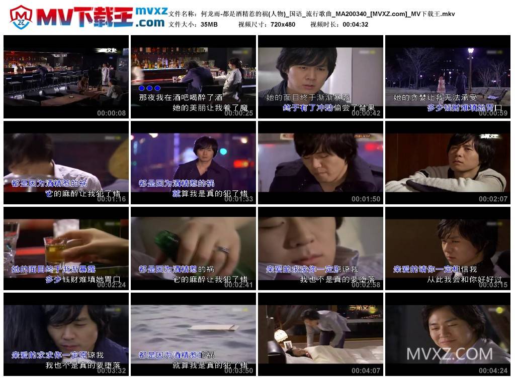 何龙雨-都是酒精惹的祸(人物)_国语_流行歌曲_MA200340